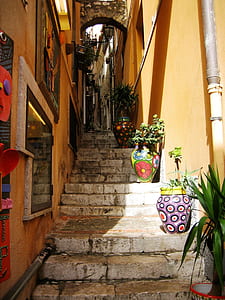 green leafed plants on stairs thumbnail