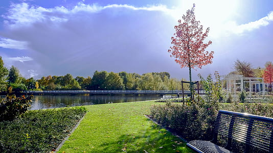 Black Metal Bench on Grassy Garden thumbnail