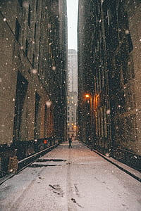 person walking on gray road in between buildings thumbnail