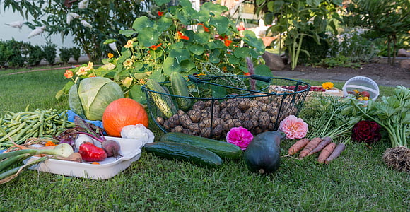 assorted vegetables on grass thumbnail