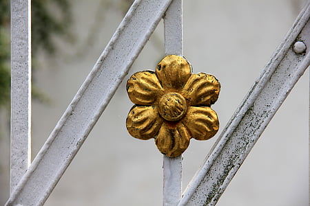 macro photography of yellow flower ornament on white steel bar thumbnail