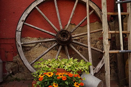 orange and yellow flowers near brown wooden wheel thumbnail