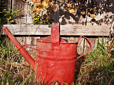 close up photo of red watering can beside wooden fence thumbnail