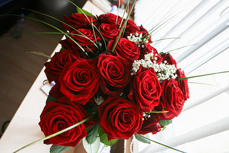 Girls Love Roses thumbnail