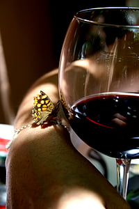 person's holding wine glass thumbnail