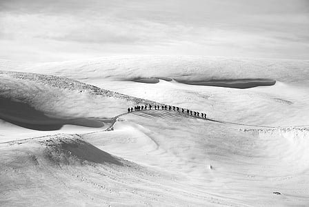 group of people walking on snow thumbnail