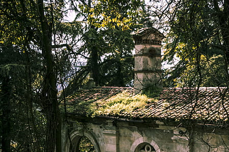 Tree and House thumbnail