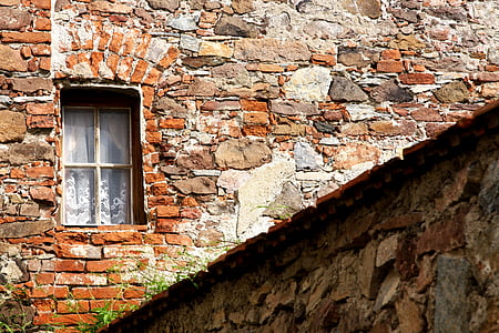 green plants under window thumbnail