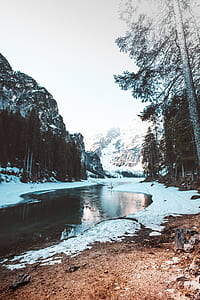 body of water in between trees thumbnail
