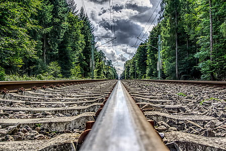 worm's-eye view of trail rails in the middle of trees thumbnail