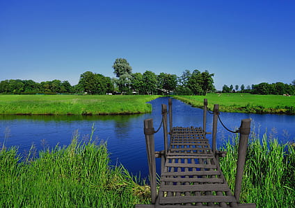 gray wooden dock thumbnail