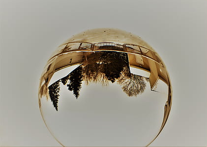 crystal ball reflecting trees during daytime thumbnail