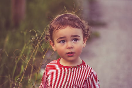 toddler standing near grass field thumbnail