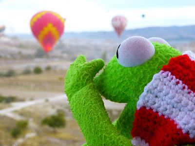 selective focus photography of frog plush toy thumbnail