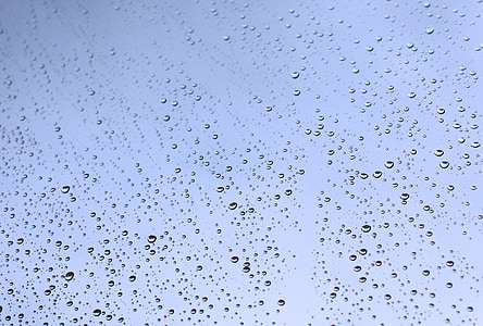 water dews thumbnail