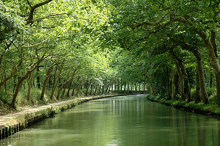 river between of green leafed trees thumbnail