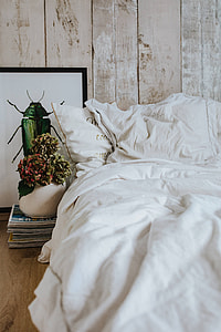 White bed sheets with a picture of a green beetle and a pot plant on a stack of magazines thumbnail