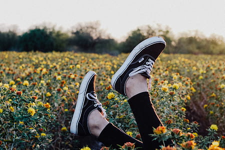 person wearing black-and-white Vans Era sneakers lying over field full of flowers thumbnail