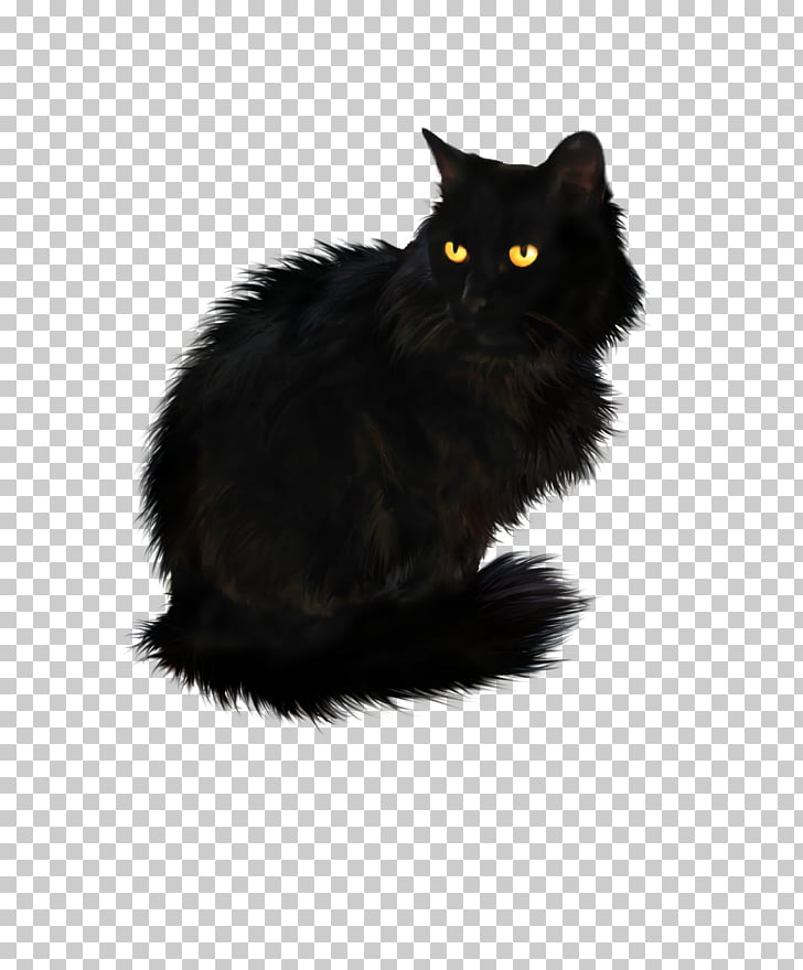 Persian Cat British Longhair Black Cat British Shorthair Cats Png