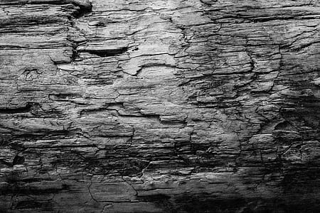 grayscale photo of wood thumbnail