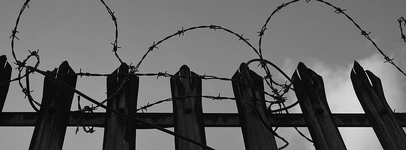 brown wooden fence thumbnail