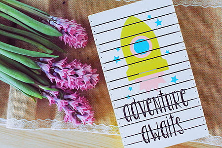 canvas, card, decoration, flora, flowers thumbnail