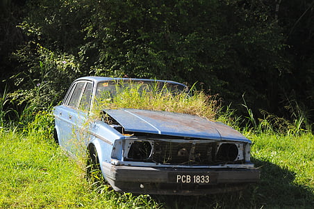 blue sedan near green and brown tree thumbnail