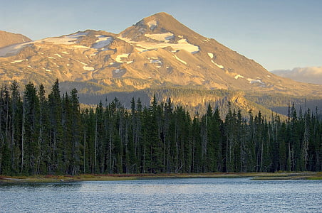 panoramic photo of trees with mountain background thumbnail