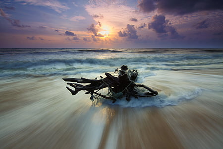 time lapsed photo of driftwood thumbnail