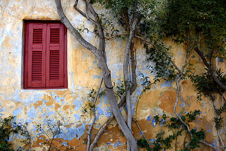 red wooden windows near brown tree brand thumbnail
