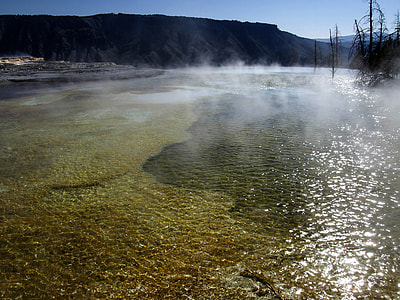 Hot Springs in Yellowstone National Park, Wyoming thumbnail