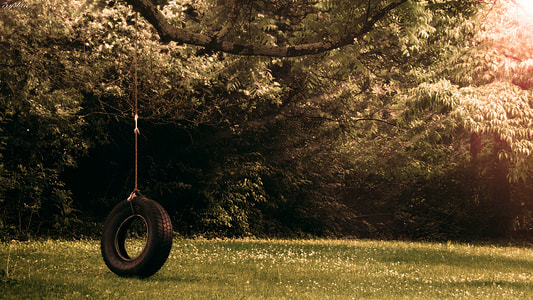 swing tire chair on tree near grass during daytime thumbnail