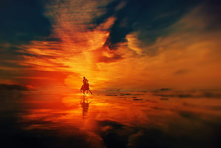 man riding on horse thumbnail