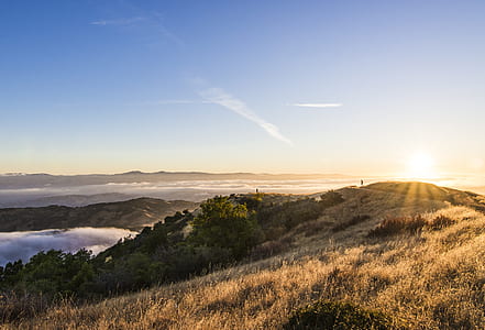 landscape photo of mountain and trees during golden hour thumbnail