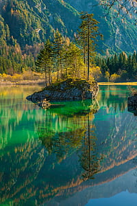 Scenic View of Lake in Forest thumbnail