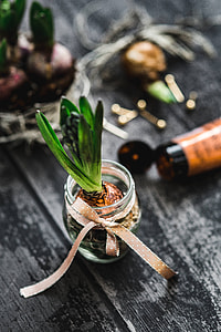 Woman making a little ornamental seedling in a small jar thumbnail