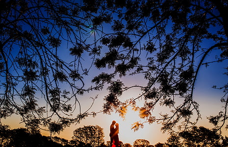 silhouette of man and woman facing each other under tree during blue hour thumbnail