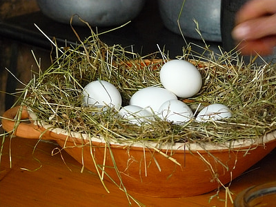 poultry eggs on nest thumbnail