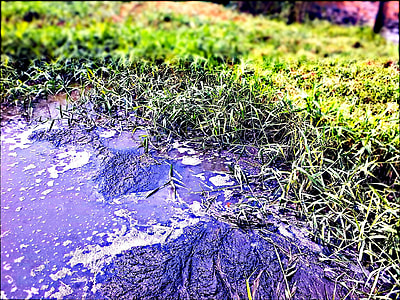 purple body of water flowing on grass thumbnail