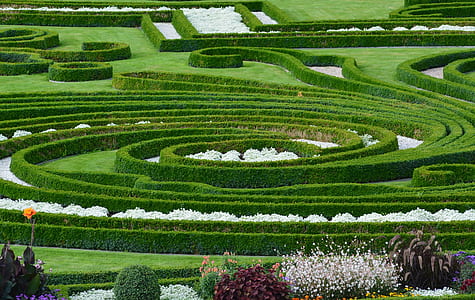 green garden maze thumbnail