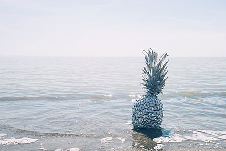 pineapple fruit on body of water during daytime thumbnail