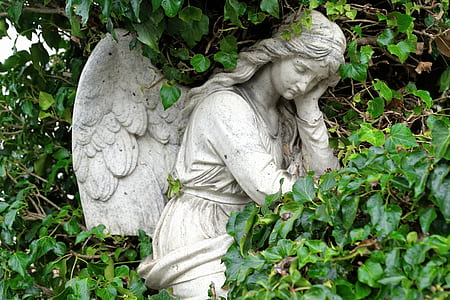 gray angel statue beside plants thumbnail