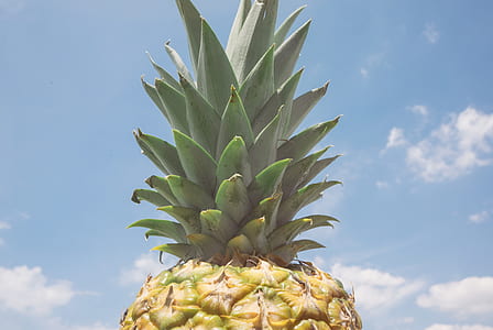 pineapple during day thumbnail