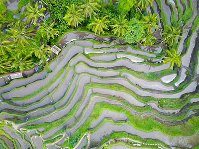 landscape of farm field thumbnail