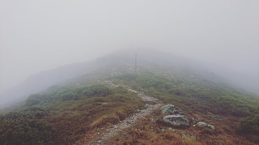 green mountain thumbnail