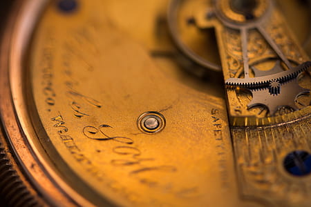 close-up photo of skeleton watch thumbnail