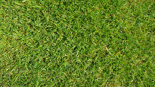 aerial view of grasses thumbnail