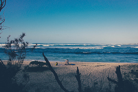 person sitting on seashore thumbnail
