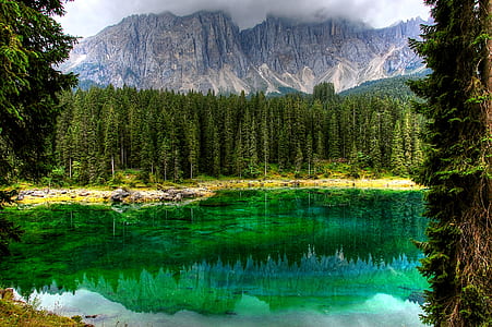 lagoon surrounded by trees thumbnail