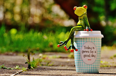 frog sitting on disposable cup thumbnail